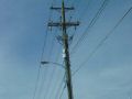 resize of p2270009.jpg